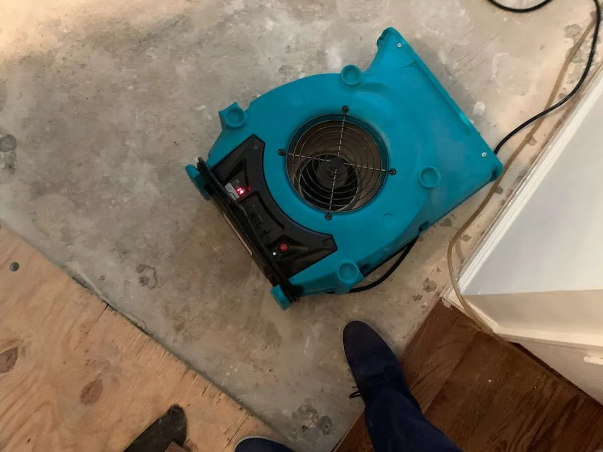 Air mover drying subfloor during Leak Detection & Repair in Lehman